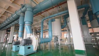 長城專訪丨蛙牌 為寵物帶去健康，為寵物主人帶來安心——專訪蛙牌軟件開發團隊